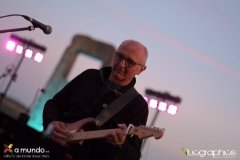 LUC_1009