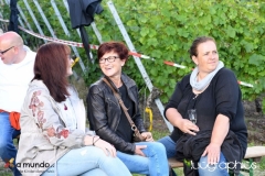 LUC_2404
