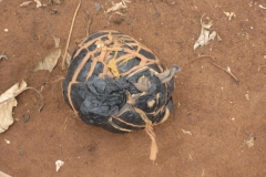 Kenia Februar 2017 225